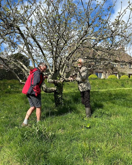 Orchard at East Cornworthy
