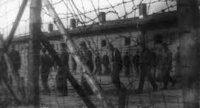 Laurence tells his grandfather's part in The Great Escape