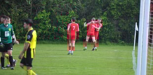 Ilsington earn their stripes against Bees