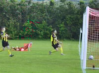 Bees stung by champions