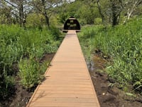 Hangar Marsh benefits from Defra funding