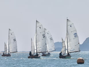 Fast Handicap race report from Salcombe sunshine