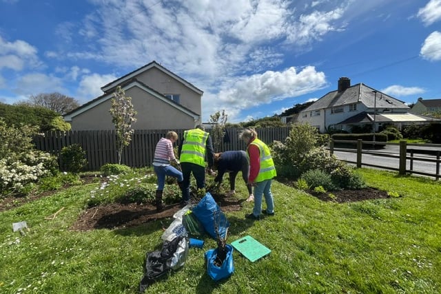 Salcombe's Green Team swings into action