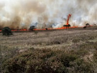 RSPB and Fire Service issue summer fire safety appeal