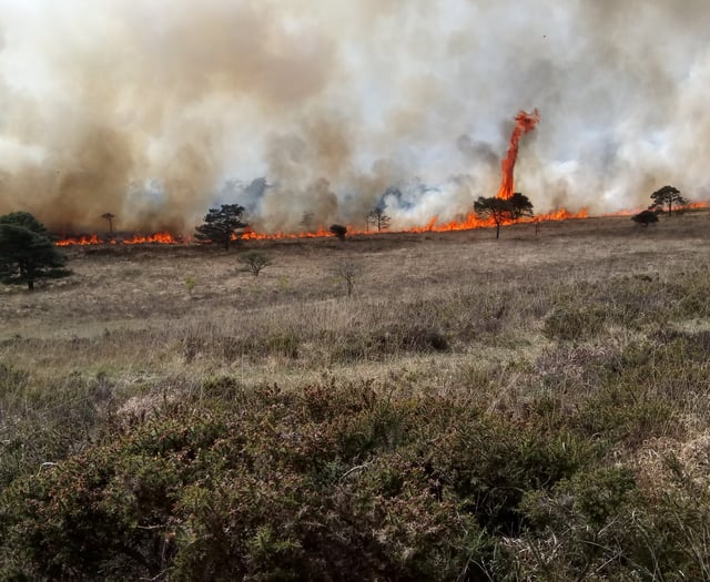RSPB and Fire Service issue summer fire safety appeal