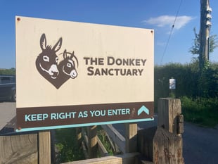 Financial challenges force closure of Ivybridge Donkey Sanctuary