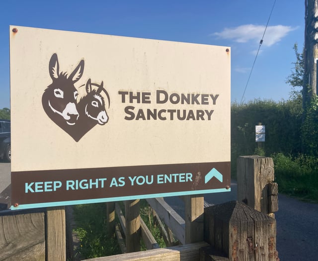 Donkey Sanctuary to shut sites including one in South Hams