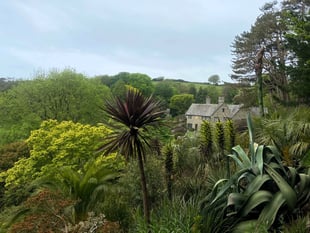 Coleton Fishacre: England's Top-Rated Garden by National Trust