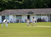 South Hams cricket summary
