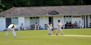South Hams cricket summary