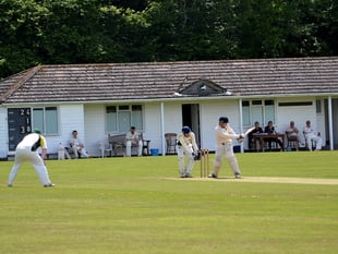 South Hams cricket summary
