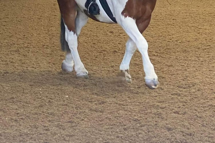 Patrick Pearce riding Tick Tock