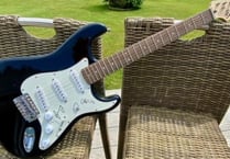 Signed Coldplay guitar up for grabs in hedgehog charity fundraiser