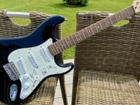 Signed Coldplay guitar up for grabs in hedgehog charity fundraiser