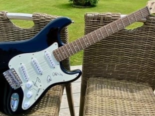 Signed Coldplay guitar up for grabs in hedgehog charity fundraiser