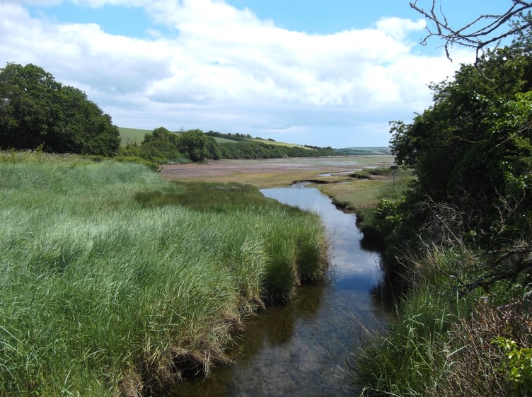 BlanksMill Bridge, With sea couch grass in the foreground - Gordon Waterhouse