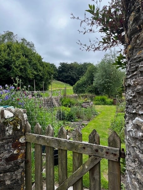 A Kingsbridge garden