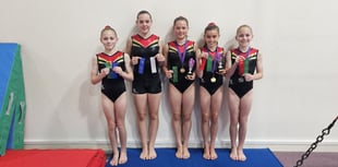 Devon Gymnastics' Championships