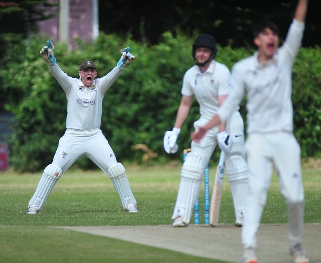 Tolchards Devon Cricket League weekend preview 06/07