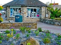 Kingsbridge In Bloom prepare for the judges and need waterers
