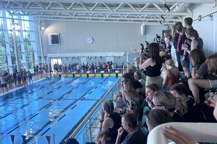 A full spectator’s gallery watches the beginning of a backstroke race