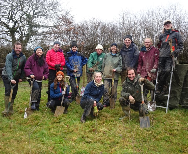 Devon charity aims to plant 34,000 trees on dartmoor