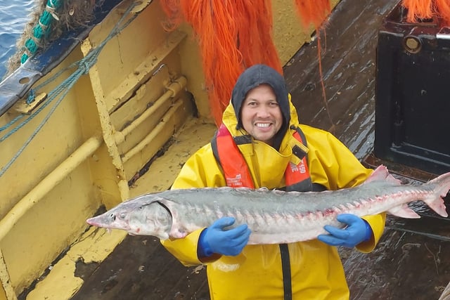 Catch of the decade? 