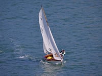 A reunion on the water