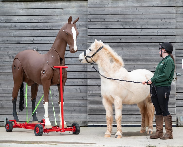 The special mannequin is designed to train emergency crews in critical horse rescue situations