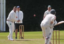 South African firepower added to the Ivybridge Cricket Club ranks