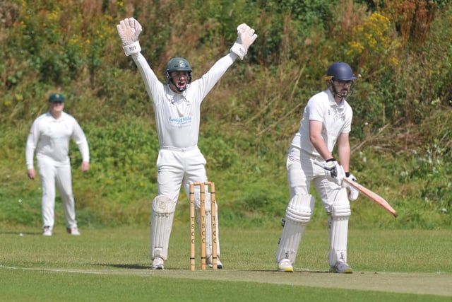 Tolchards Devon Cricket League weekend preview 31/08