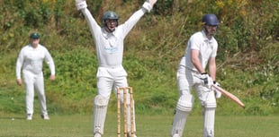 Tolchards Devon Cricket League weekend preview 31/08