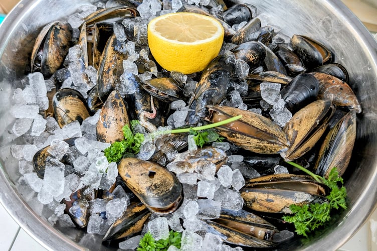 There will be plenty of seafood on offer. Picture: Kamila Bielawska