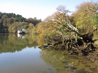 Nature Diary by Nigel Mortimer | Discovering