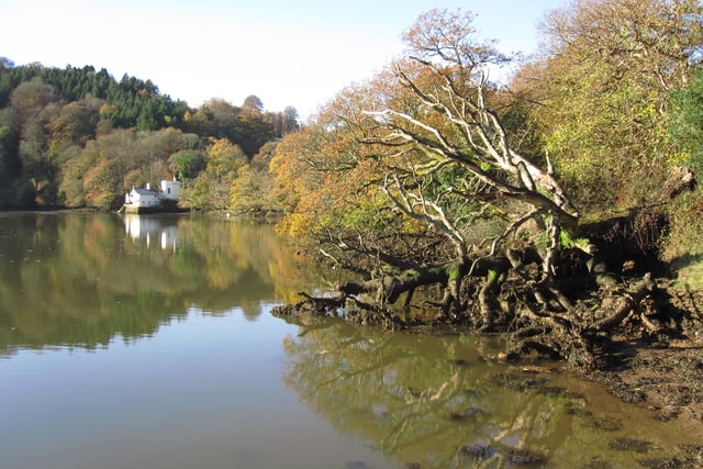 Nature Diary by Nigel Mortimer | Discovering