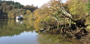 Nature Diary by Nigel Mortimer | Discovering
