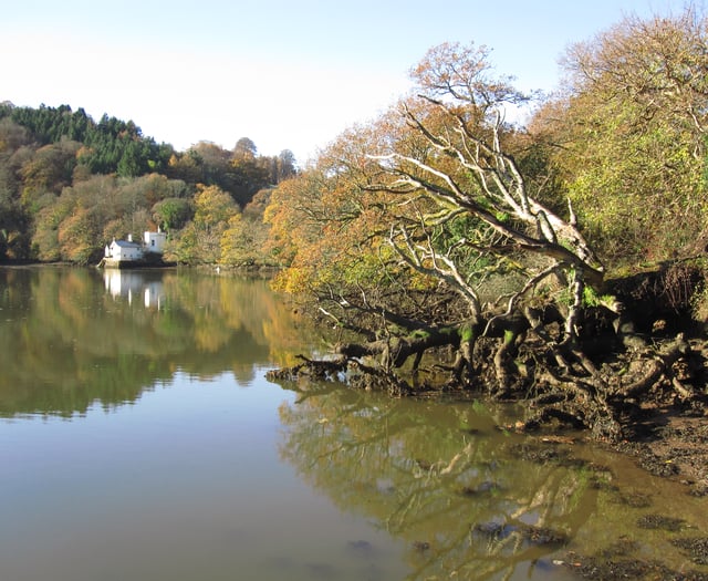 Nature Diary by Nigel Mortimer | Discovering