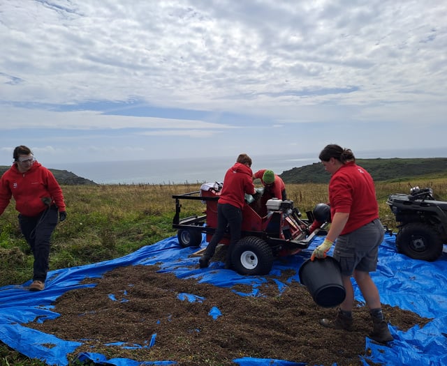 Southdown Farm completes first harvest of wildflower seeds