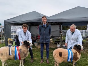 Another successful Kingsbridge Show 