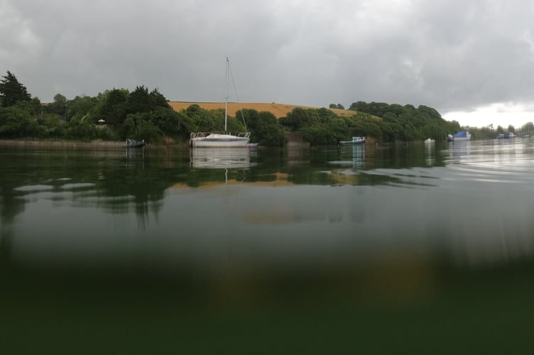 Nature Diary 11.09.2024 Swimming at Bowcombe