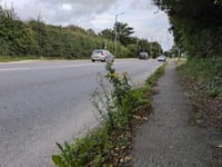 Concerns grow over Devon pavements