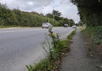 Devon pavements in spotlight as council responds