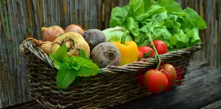 Vote for Devon's top hospitality venue in Food Drink Devon Awards 2025