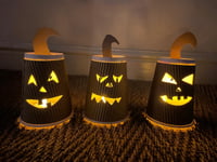 Radford Park brings nature and Halloween together with bat walk