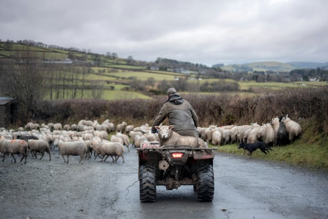 Police issue Quad Bike Theft advice
