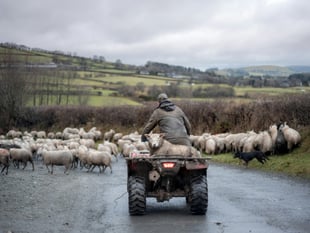 Police issue Quad Bike Theft advice
