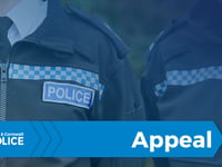 Police appeal for crash witnesses