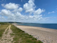 A chance to collect free trees in Slapton