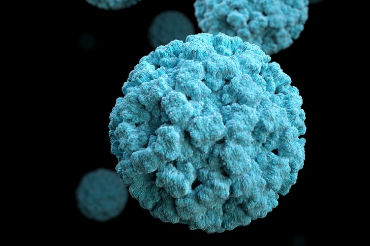 A visual representation of Norovirus