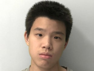 Brutal Devon boarding school hammer attacker named